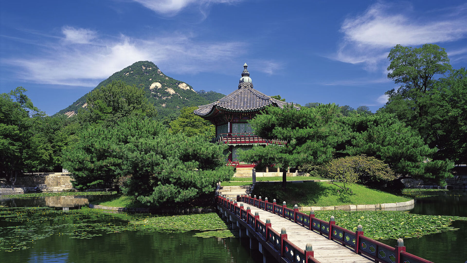 世界帆船赛事气象预报与应急联动手册上线,世界帆船赛基地