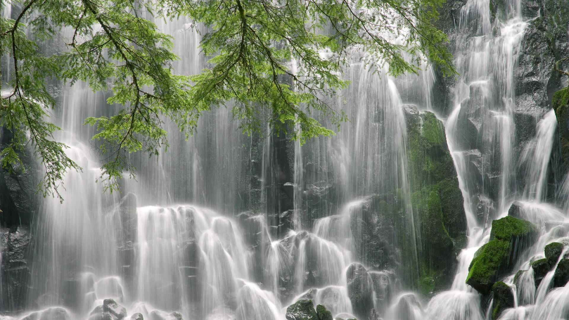 世界拳击青少年训练营医务小组轮值表与联络信息更新，世界拳击理事会官网